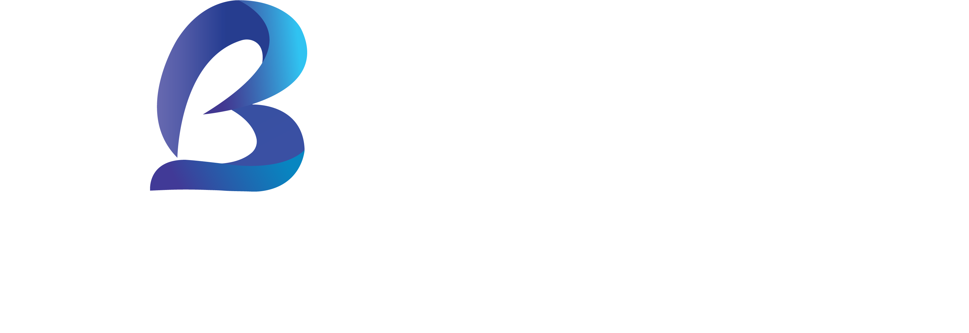 logo desktop
